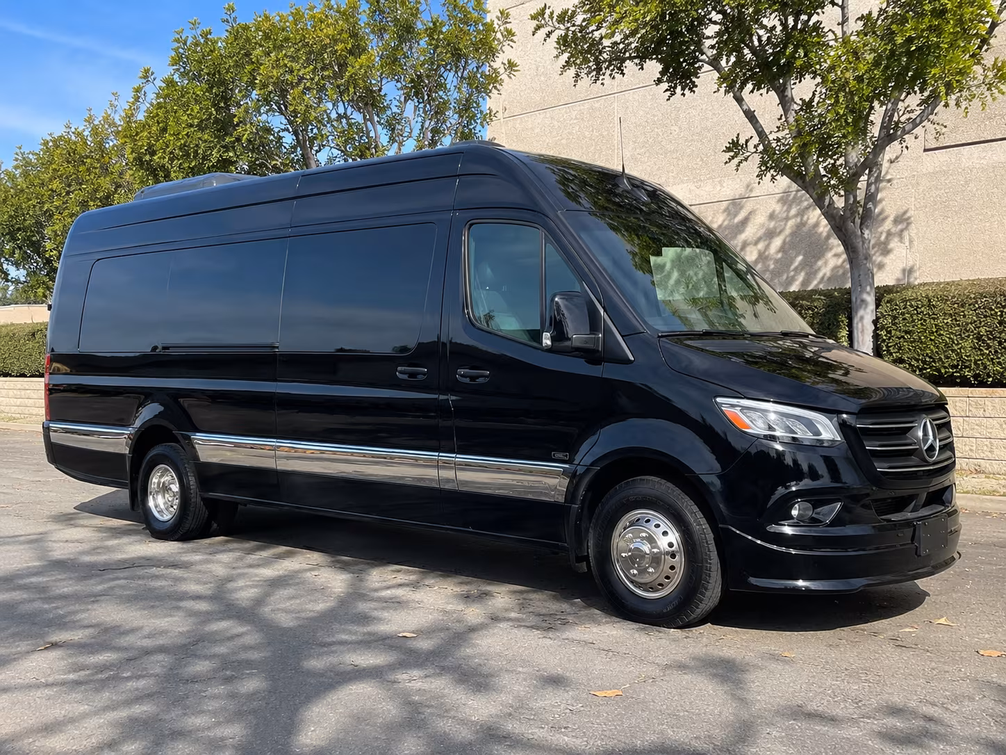 12 passenger sprinter van