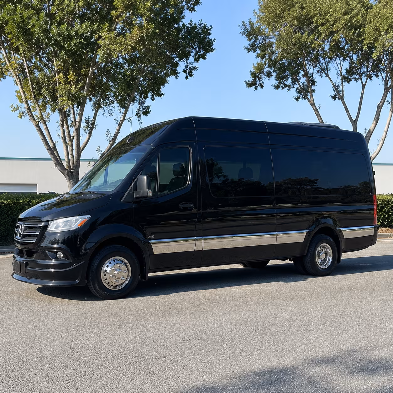 find the perfect transportation for your next birthday 4