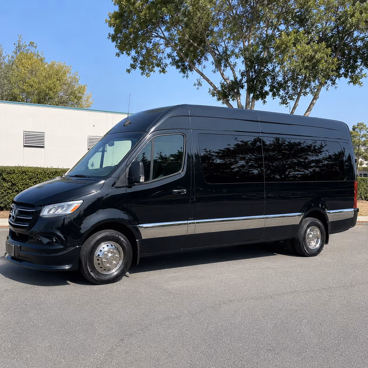 group beside a mercedes sprinter limo in tulsa